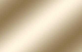 David and Goliath Detective Agency LLC